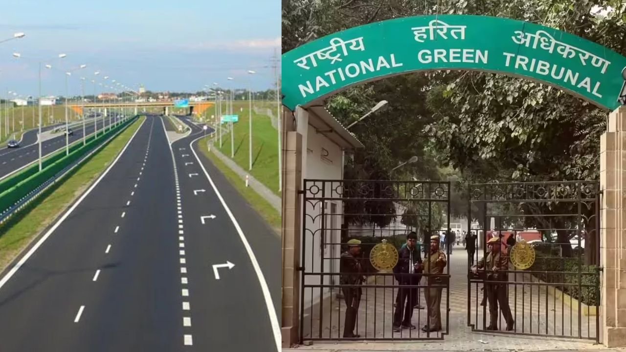 भोपाल में अयोध्या बाईपास के 10 लेन प्रोजेक्ट को NGT की हरी झंडी, एयरपोर्ट पहुंचना होगा आसान, 80 हजार पेड़ लगाने होंगे
