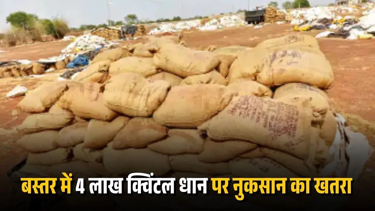 धान उठाव में बड़ी देरी, 333 करोड़ का अनाज खुले में, मानसून से बढ़ी चिंता