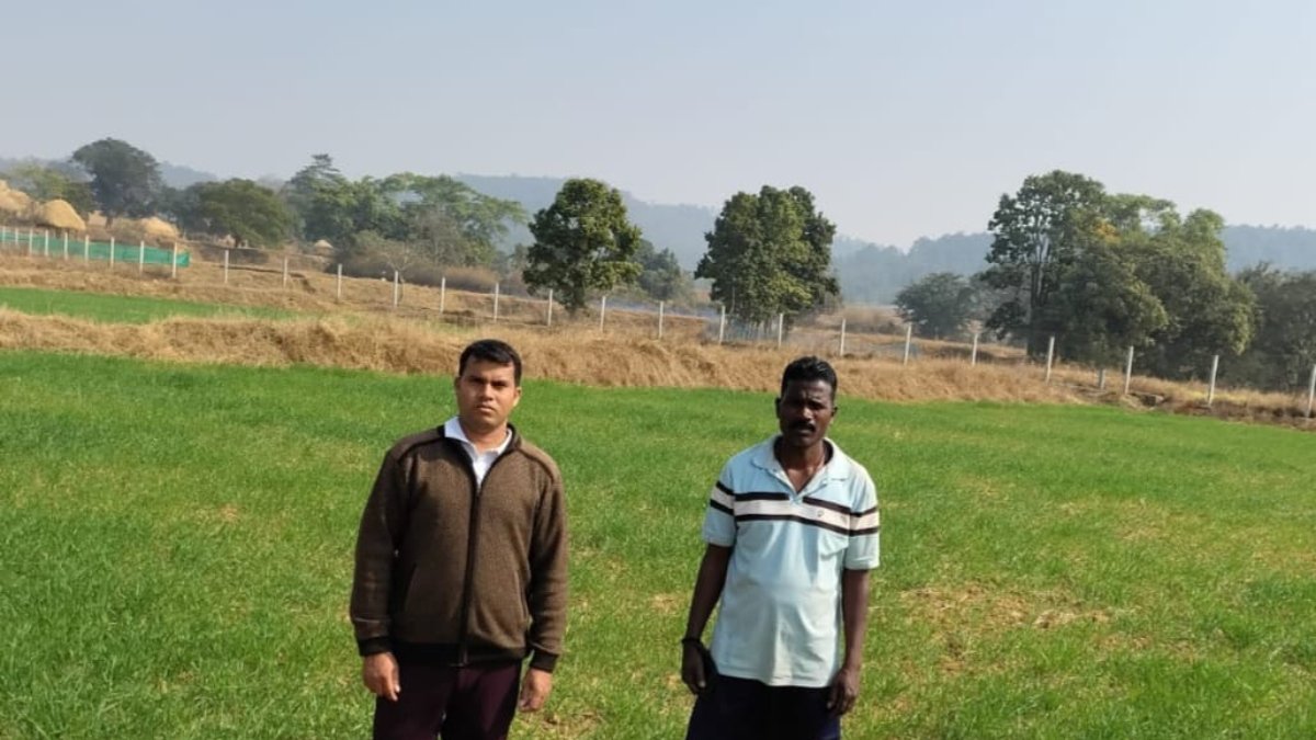 रायपुर : कम लागत, दोगुना फायदा : जशपुर के किसान ने गेहूं की खेती से बढ़ाई आमदनी