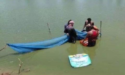 सिर्फ एक तालाब ने बदल दी कामिनी की आर्थिक तस्वीर, वैज्ञानिक मत्स्य पालन से हर साल कमा रहीं करीब 2 लाख रुपये